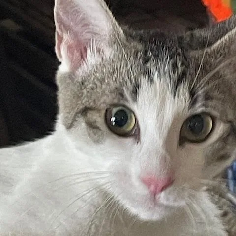 Sammy & Nancy thumbnail 4