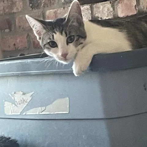 Sammy & Nancy thumbnail 5