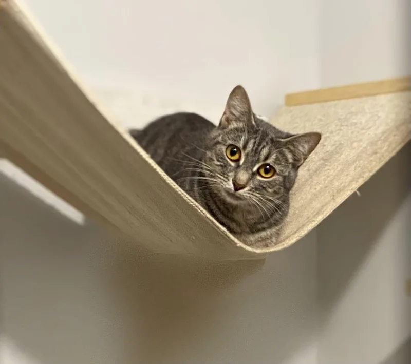 Mashed Potato thumbnail 3