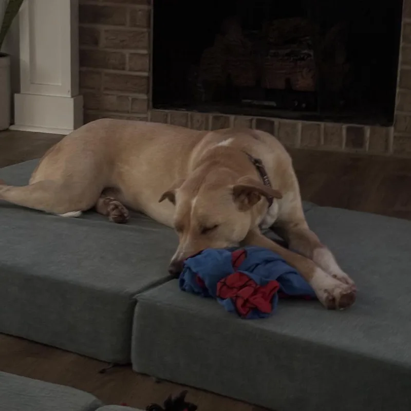 Cooper thumbnail 5