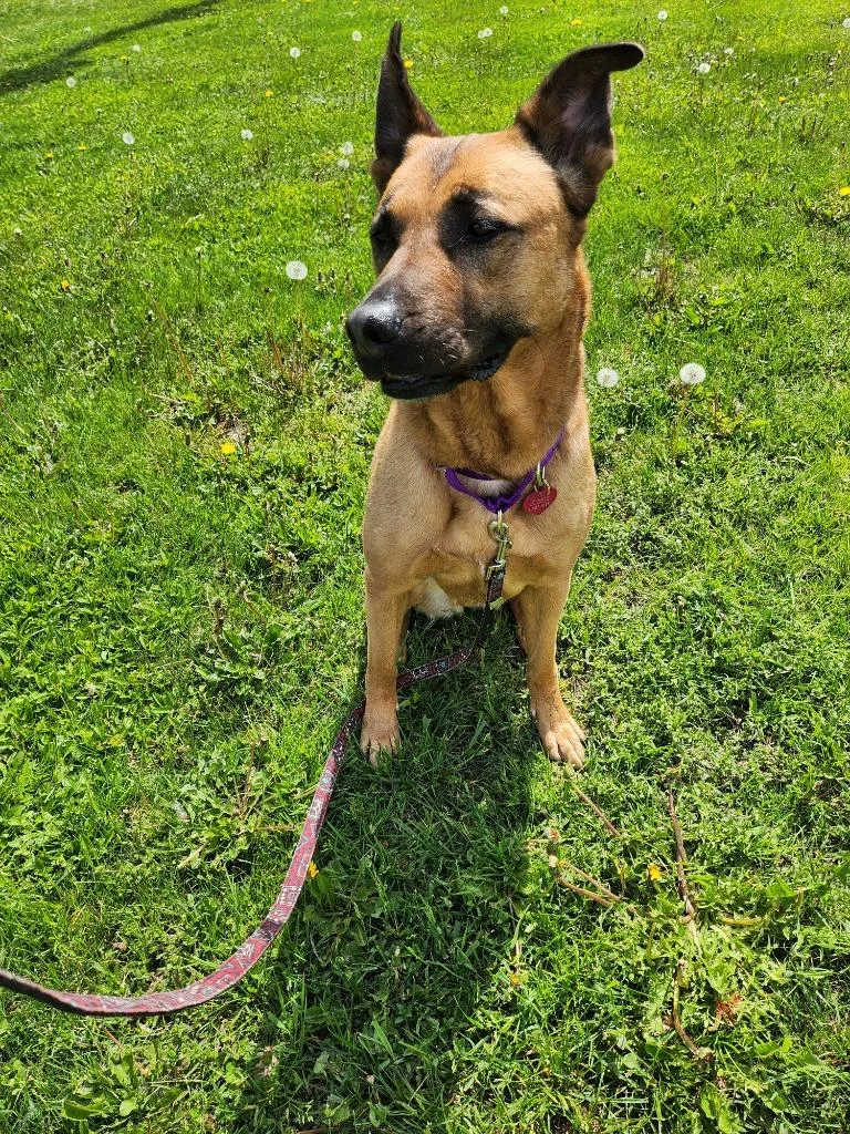Rosie