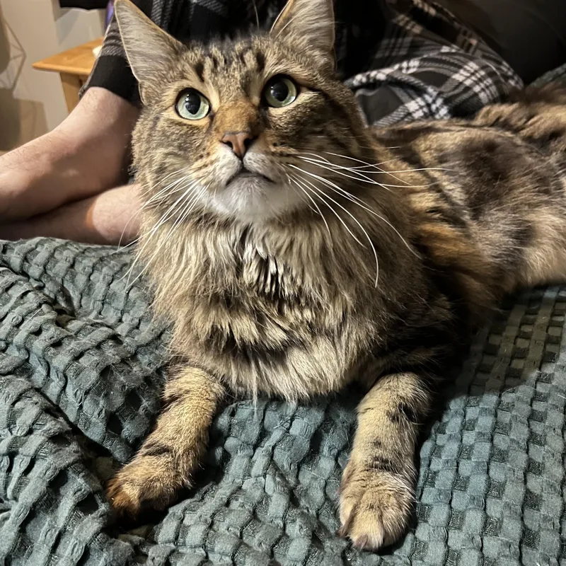 Milo & Melly