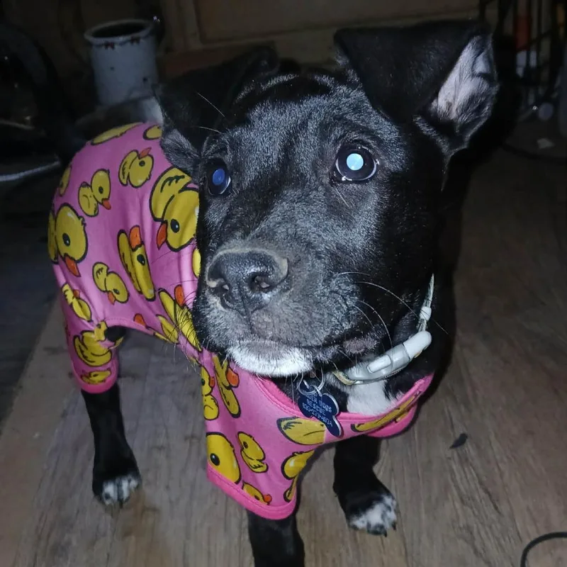 Coco thumbnail 2