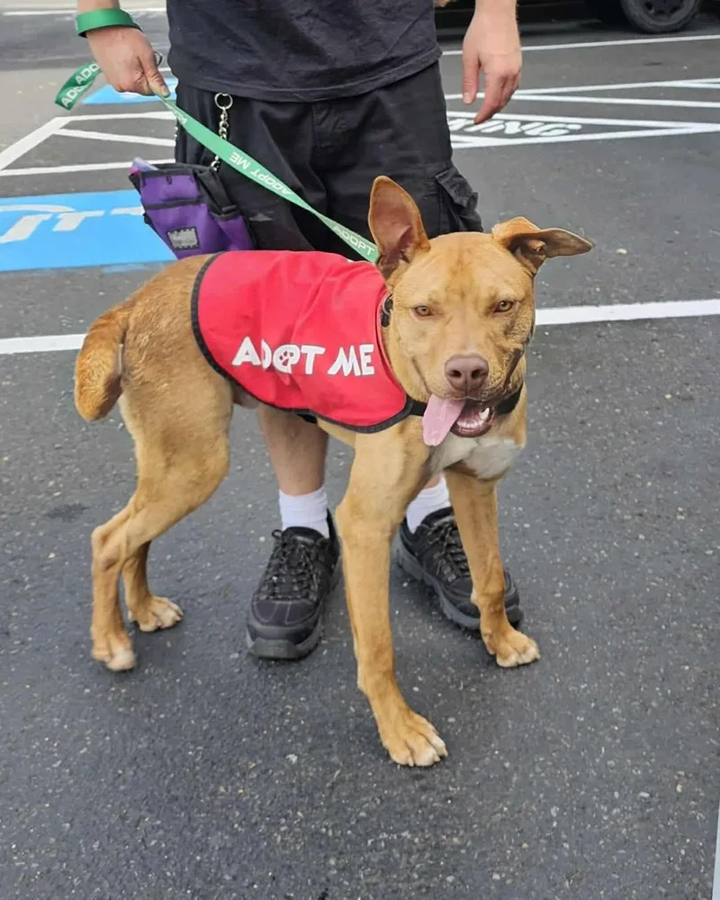 Igor Aka "iggy" thumbnail 2