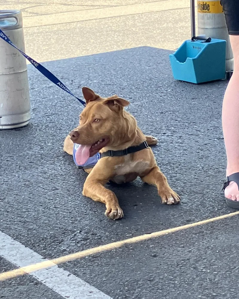 Igor Aka "iggy" thumbnail 3