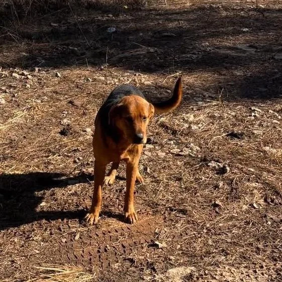 Teddy Chambers thumbnail 2