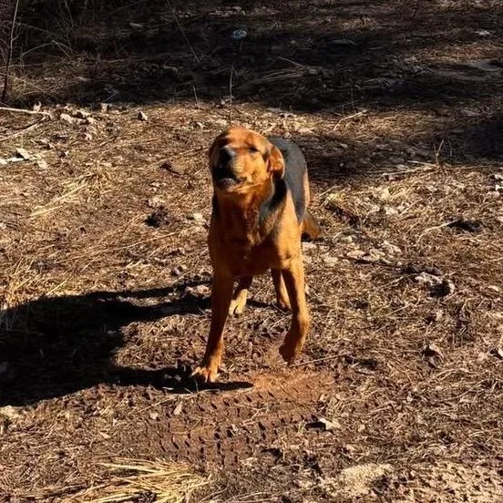 Teddy Chambers thumbnail 3