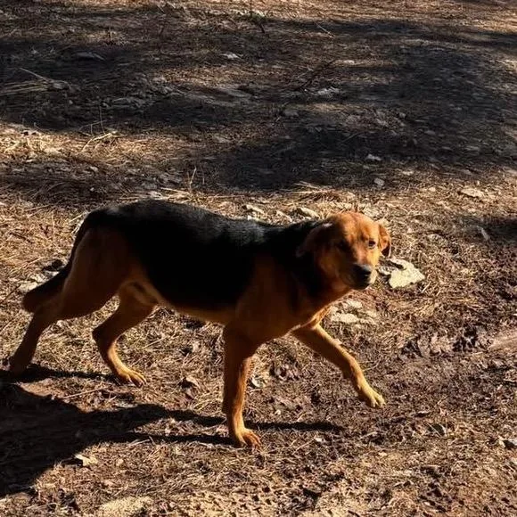 Teddy Chambers thumbnail 4