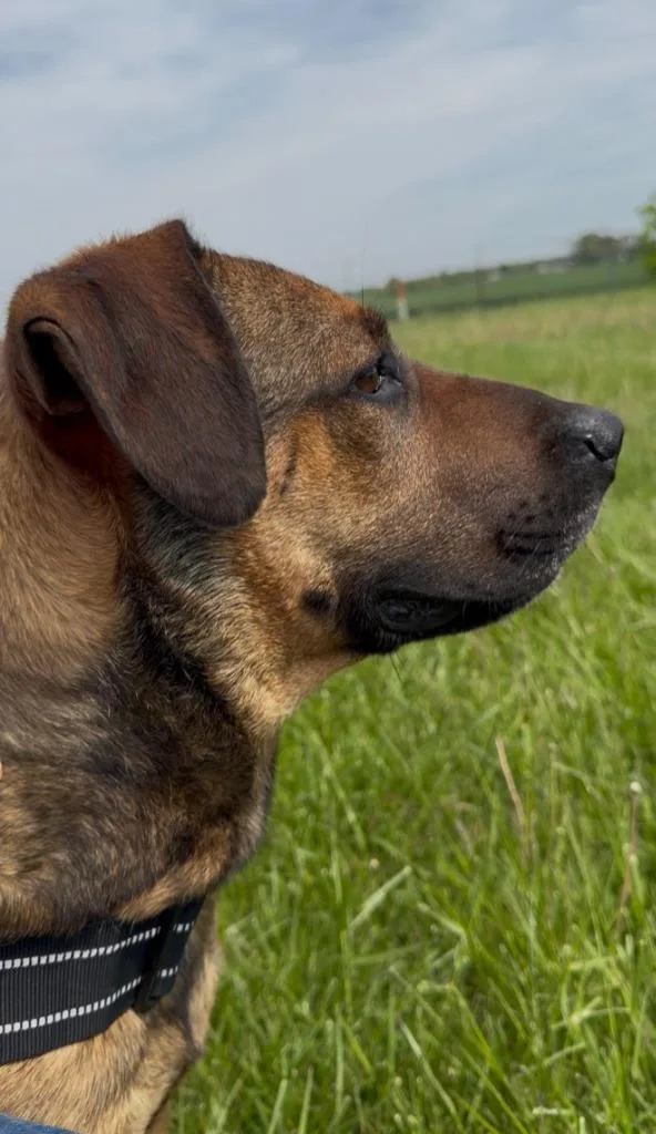 Charlie B Barkin