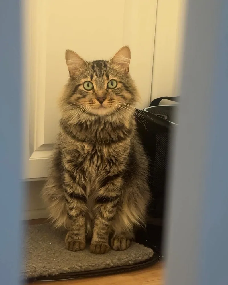 Hubert