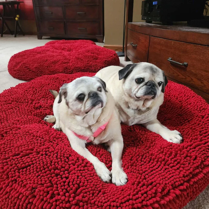 Pretty Girl & Shiner thumbnail 3