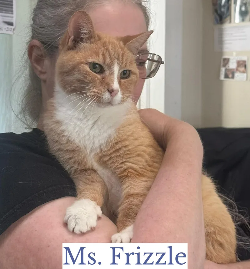 Miss Frizzle thumbnail 3