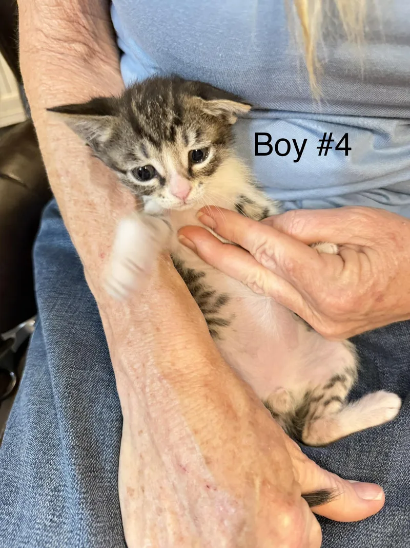 Christian thumbnail 4