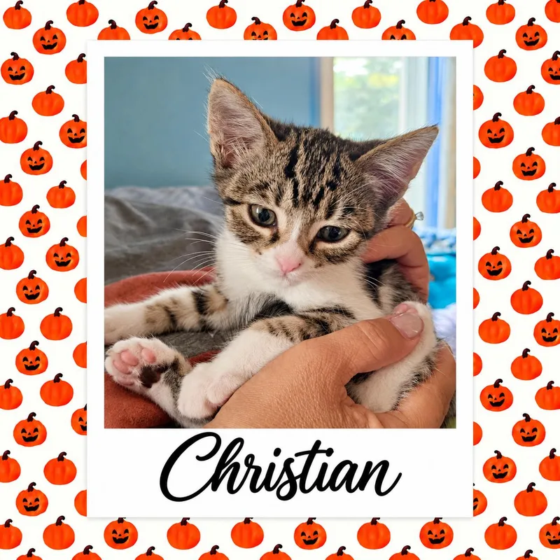 Christian thumbnail 6
