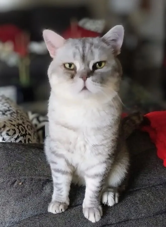 Baxter