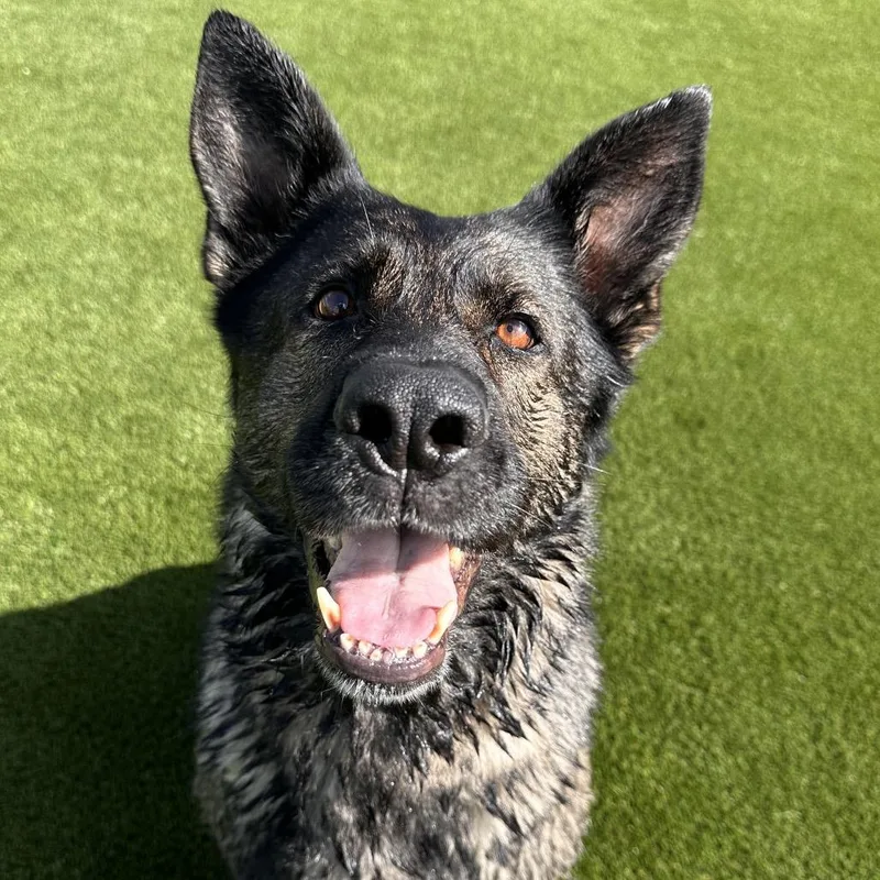 Arie Aka Patty thumbnail 2