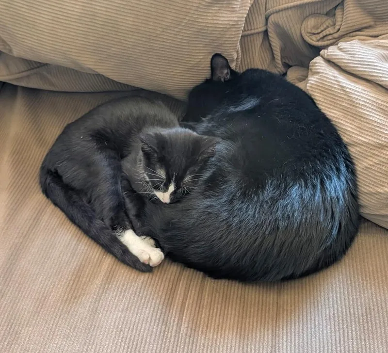 Boots aka Baby Boots
