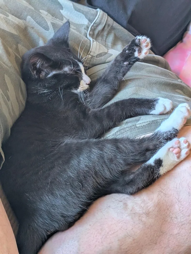 Boots aka Baby Boots thumbnail 4