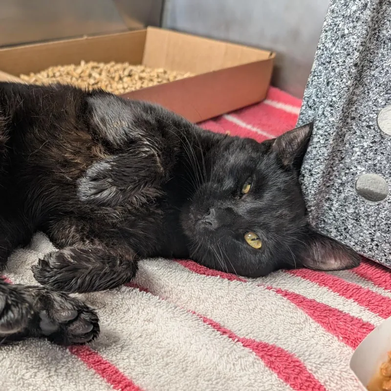 Scranton thumbnail 2