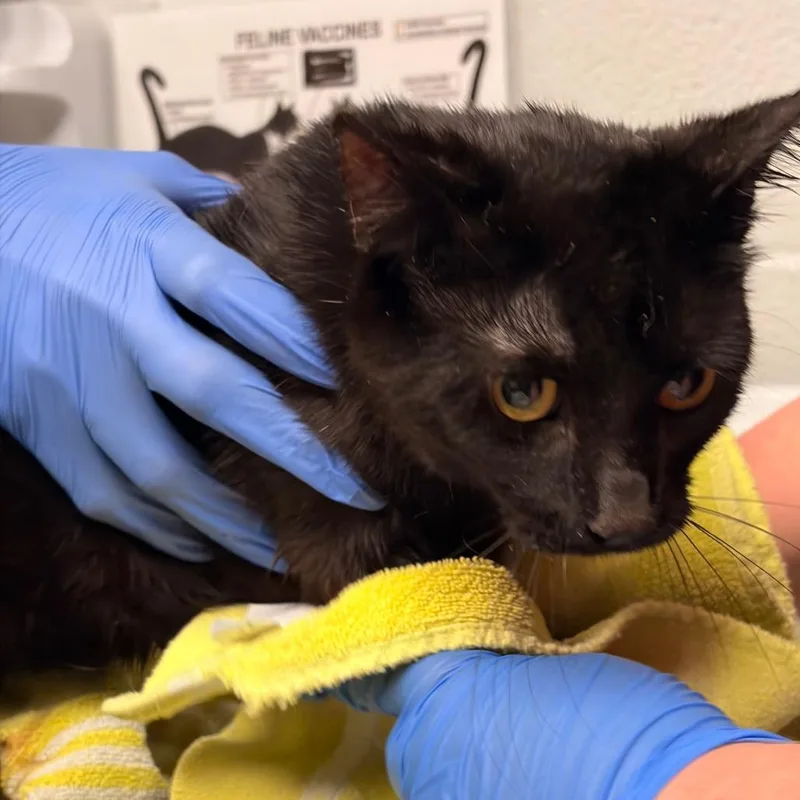 Scranton thumbnail 3