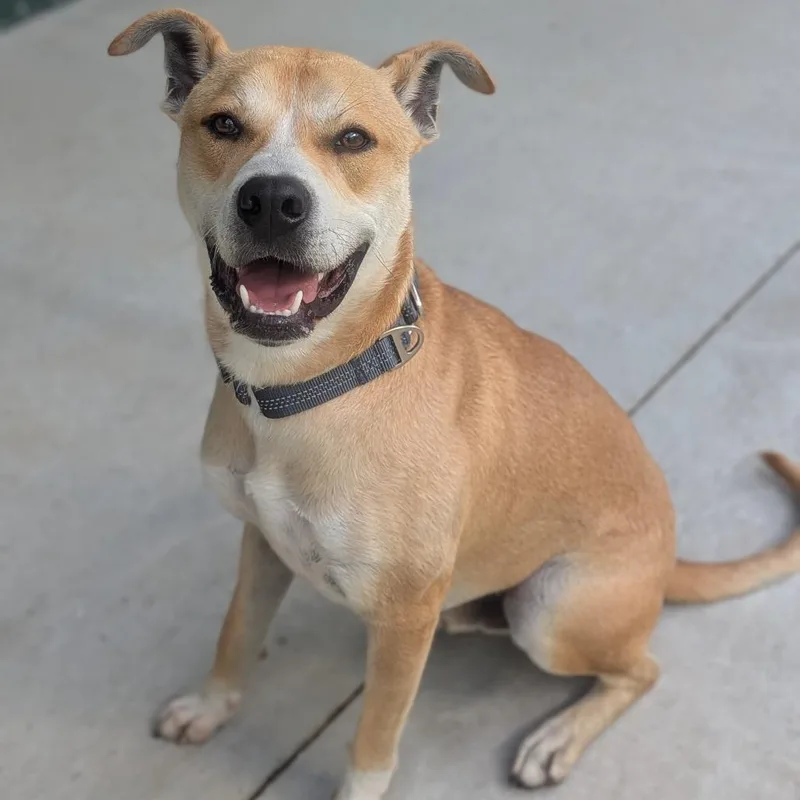 Max