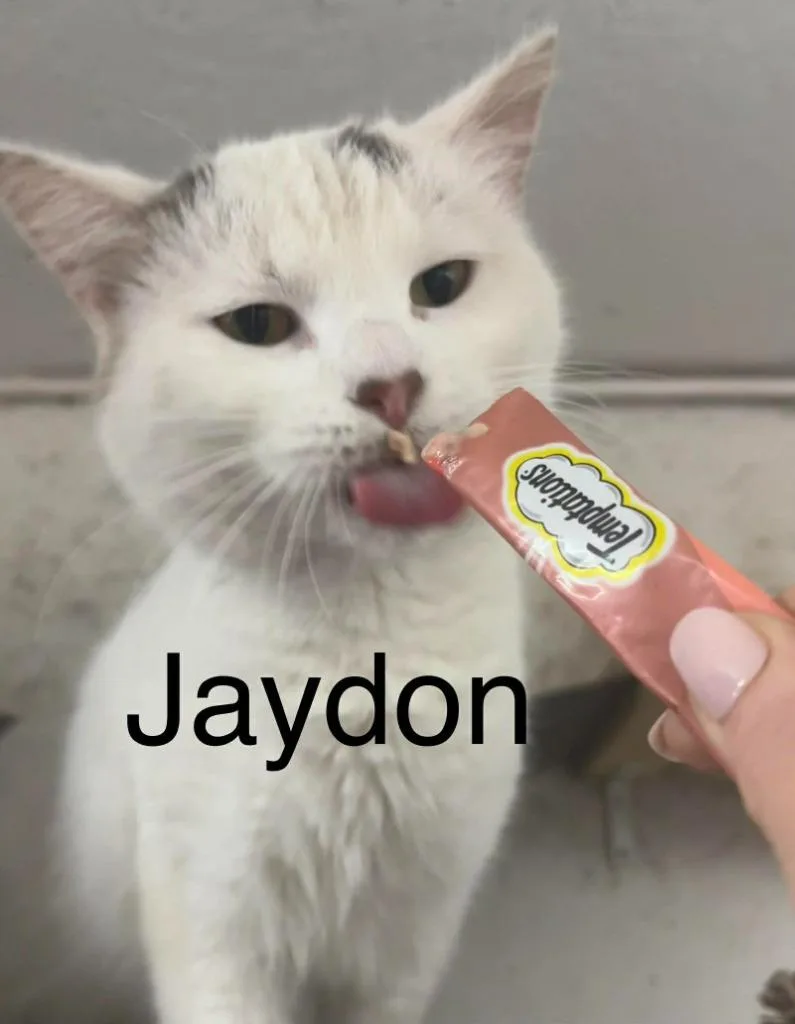 Jayden