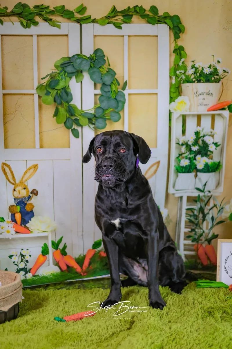 Girlfriend thumbnail 2