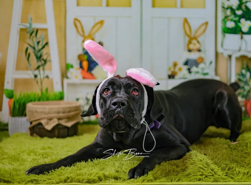 Girlfriend thumbnail 3