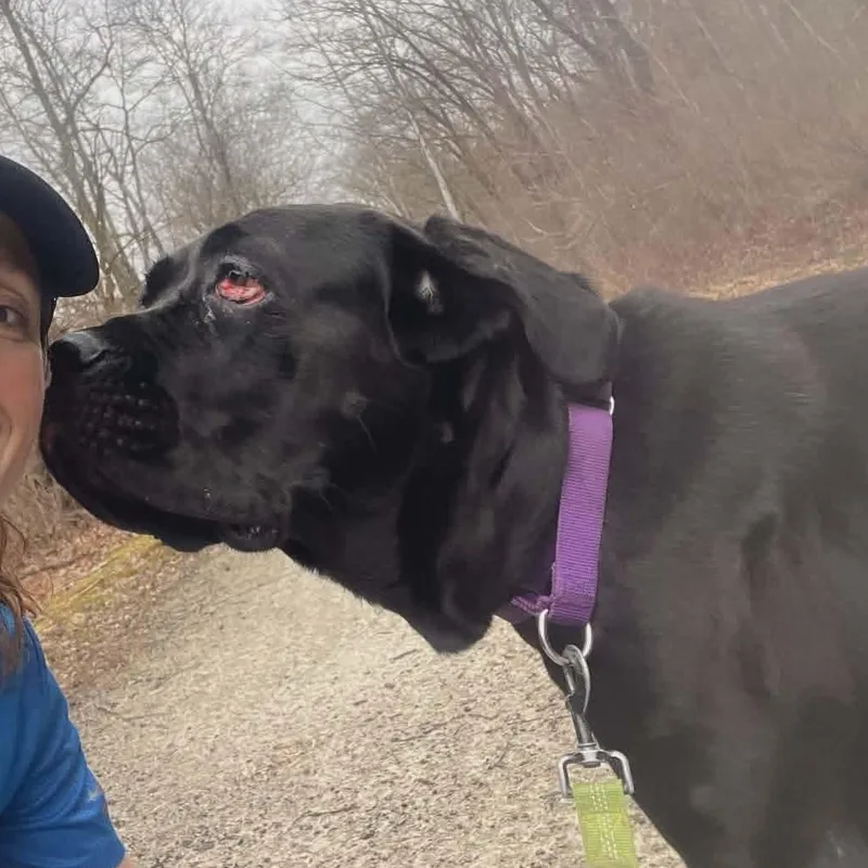 Girlfriend thumbnail 4