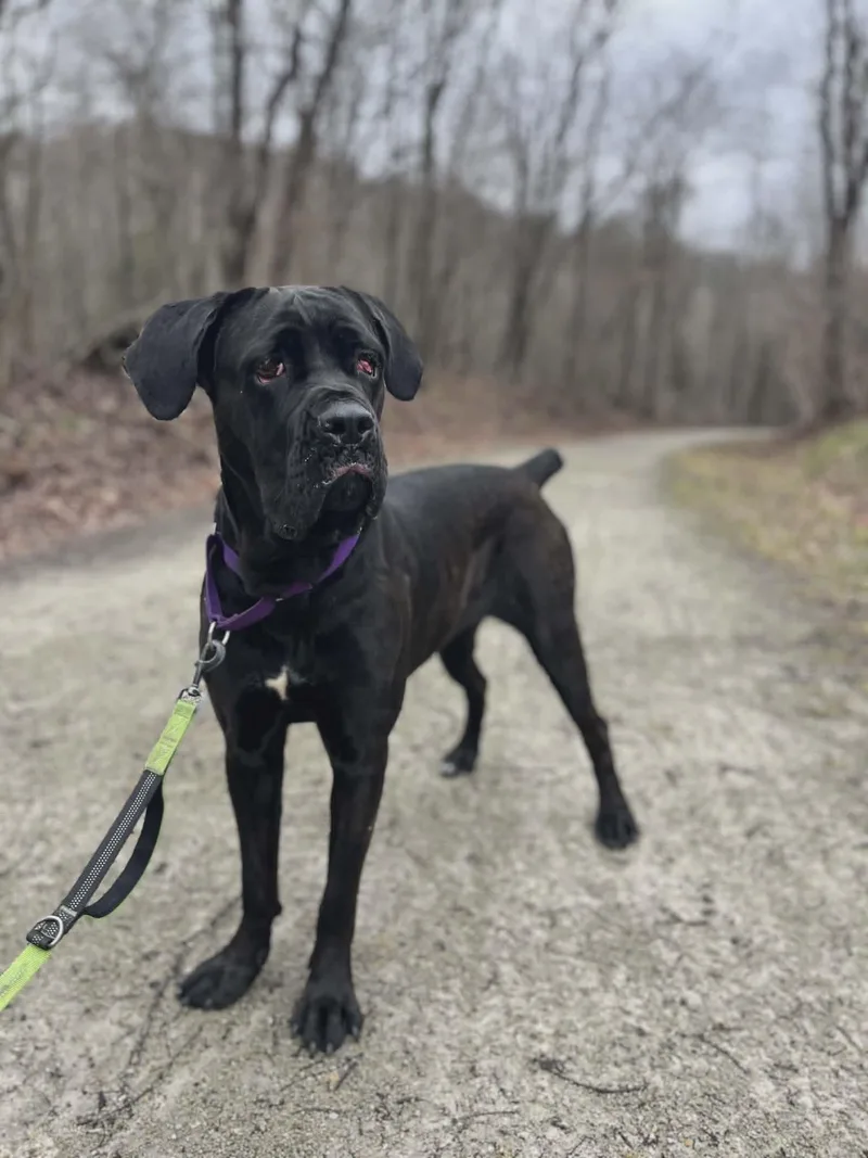 Girlfriend thumbnail 6