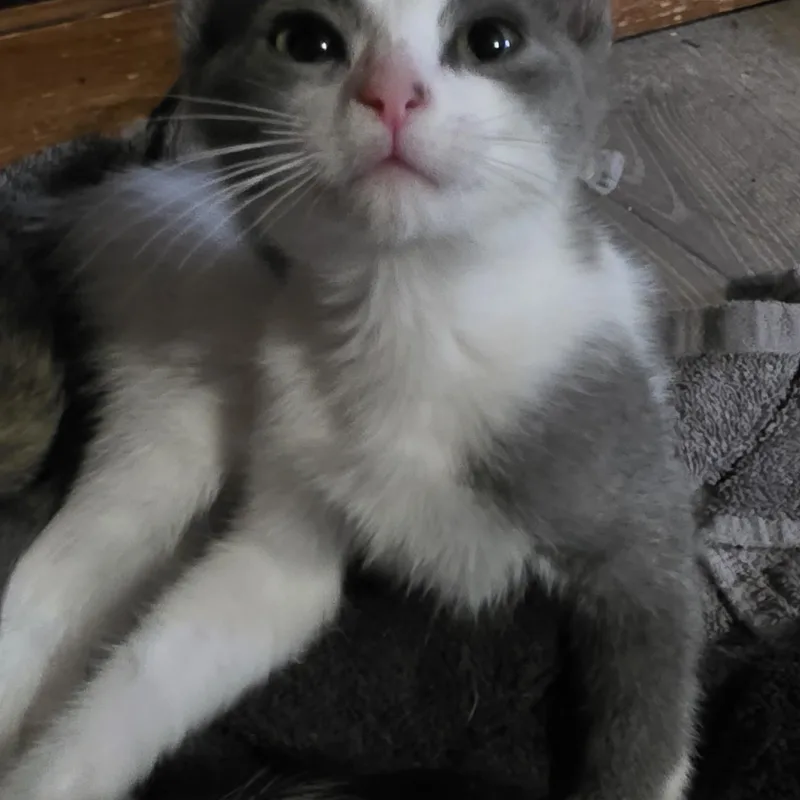 Eleanor thumbnail 5
