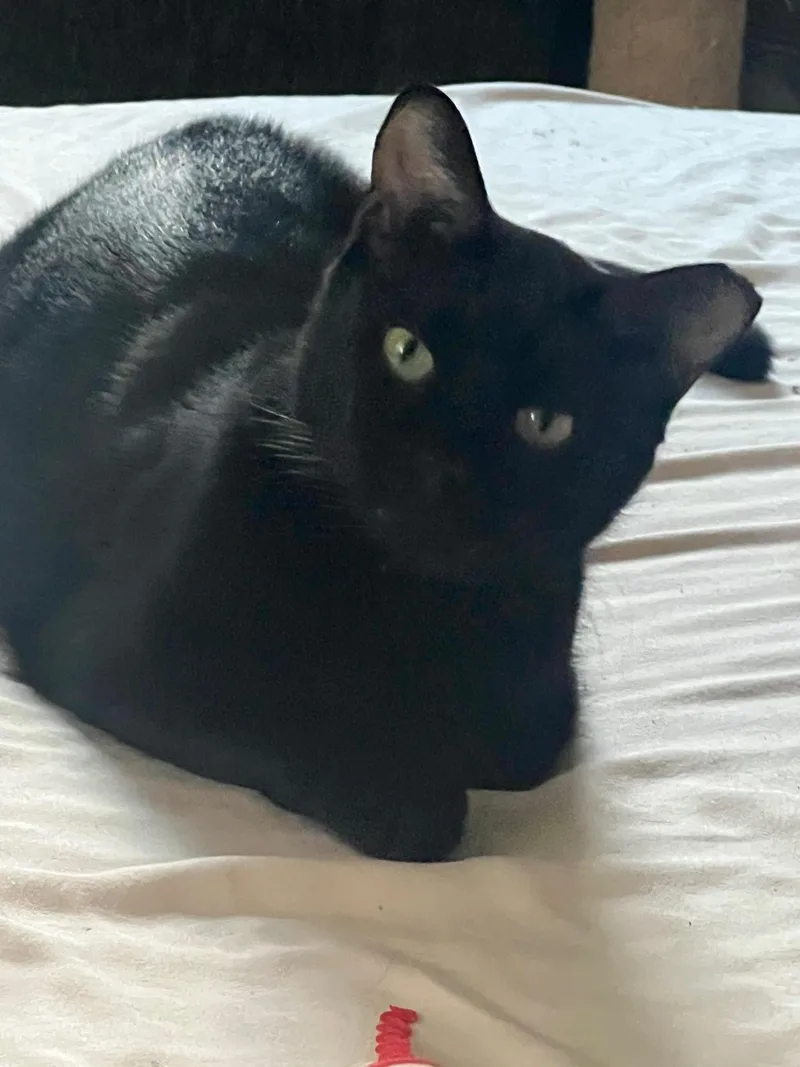 Pablo  Life's Better thumbnail 2