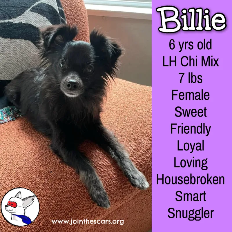 Billie thumbnail 2