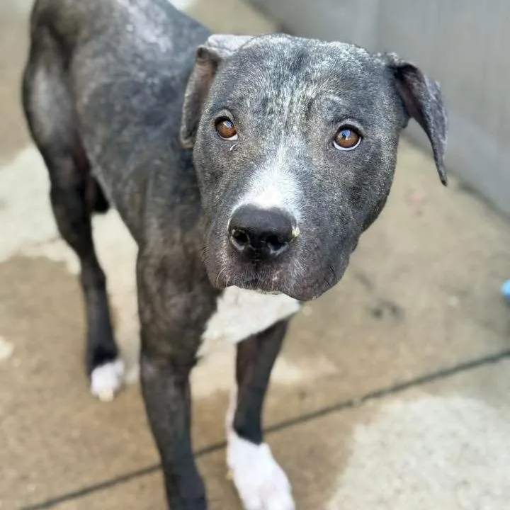 Zeke ~ Coming Soon!!!