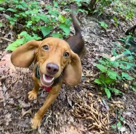 Poundcake And Lucy Charles thumbnail 2