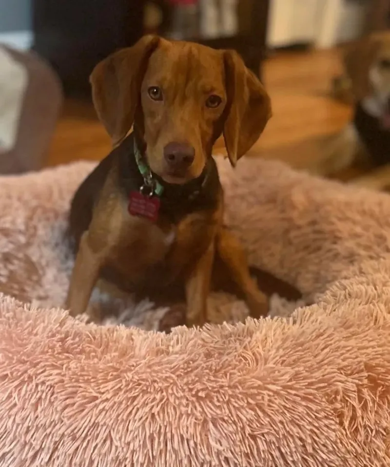 Poundcake And Lucy Charles thumbnail 3