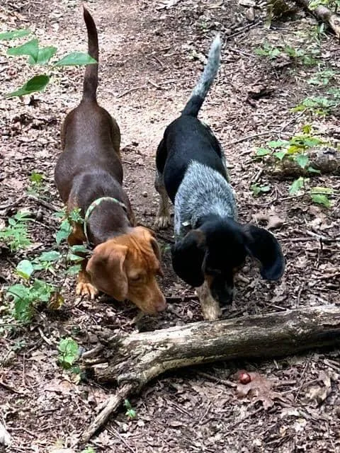 Poundcake And Lucy Charles thumbnail 5