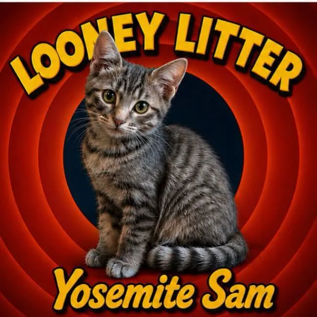 Yosemite Sam thumbnail 4