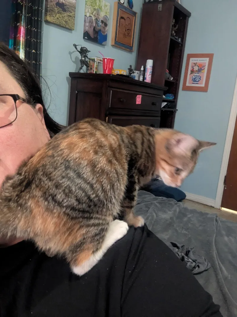 Ginger thumbnail 2