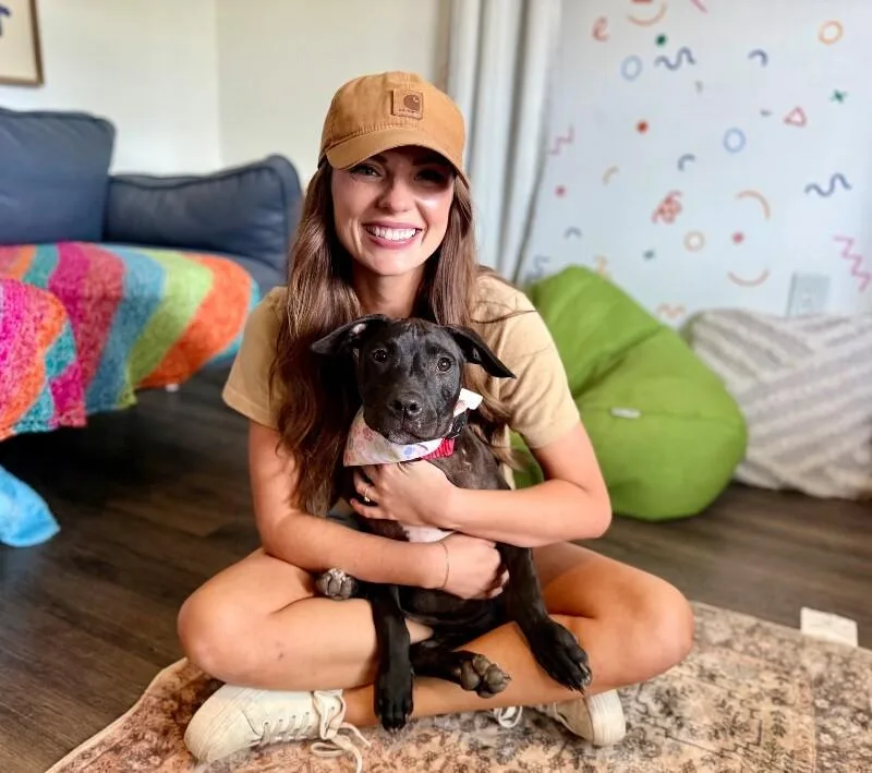 A baby small-sized female Black Pit Bull Terrier dog named Maran Chickie The Fun for adoption in Friendswood, TX
