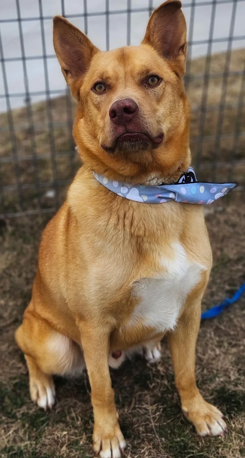 Maverick thumbnail 2