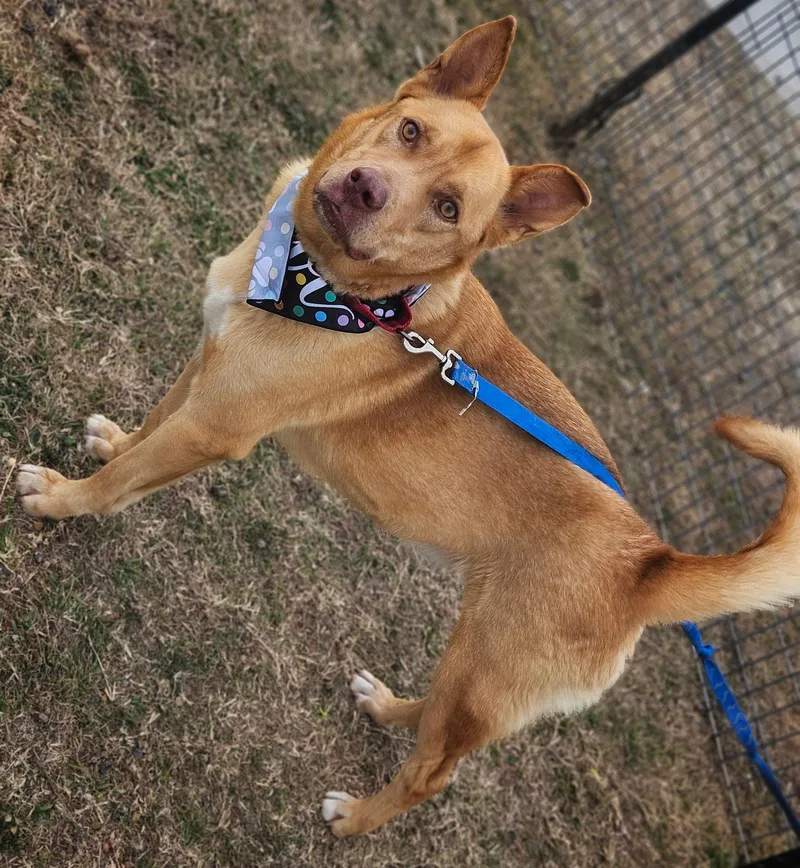 Maverick thumbnail 3