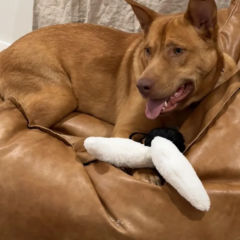 Maverick thumbnail 5