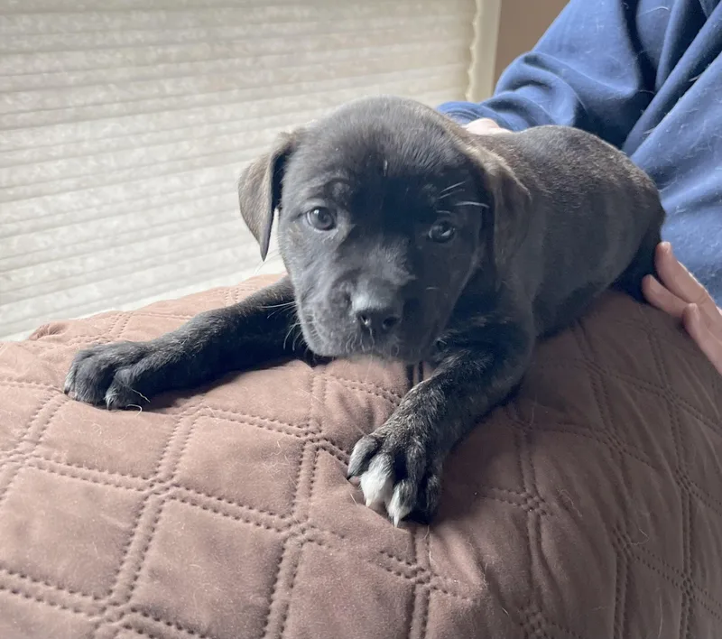 Sally Brown thumbnail 6