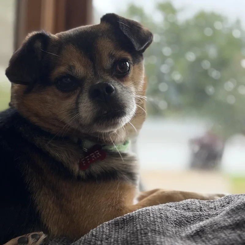Peanut thumbnail 3