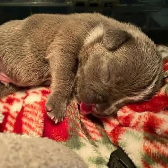 Butch Cassidy thumbnail 2