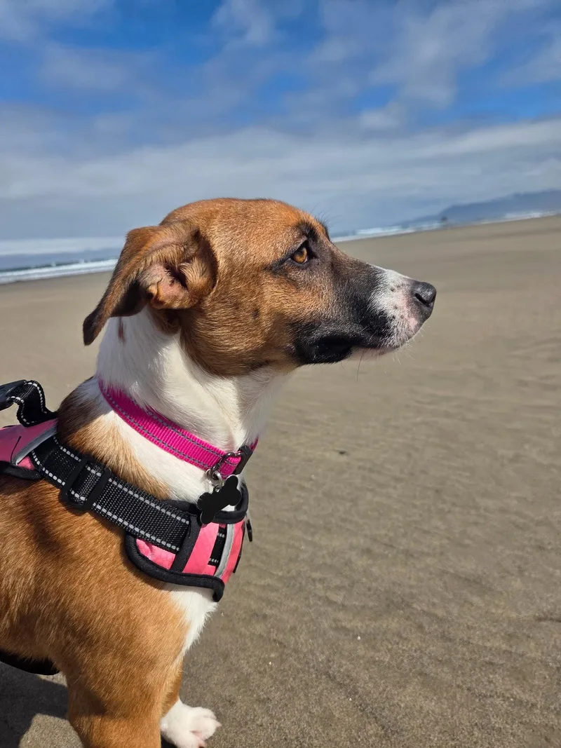 Tilly thumbnail 3