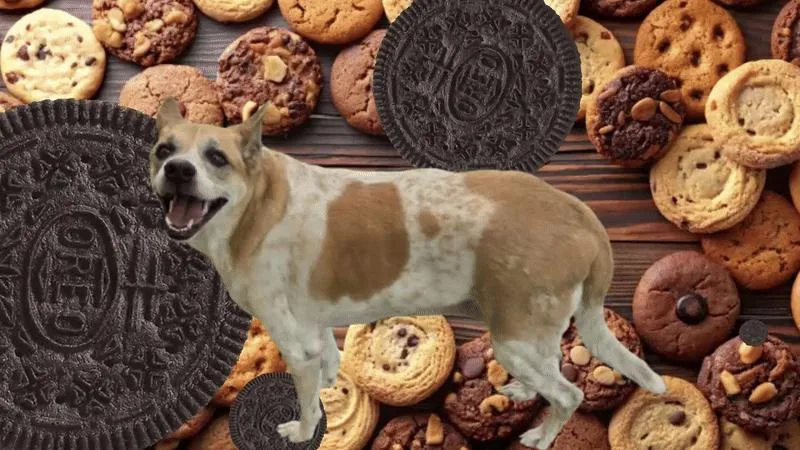 Cookie thumbnail 2