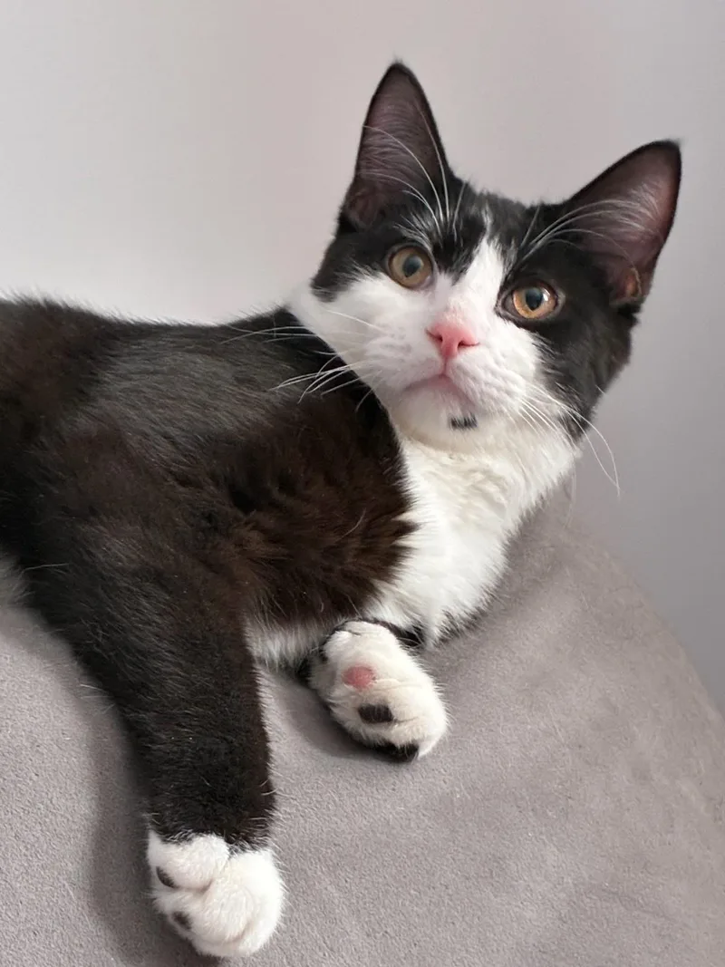 Orville & Wilbur thumbnail 6