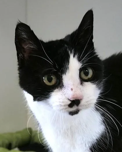 Wabisabi thumbnail 2